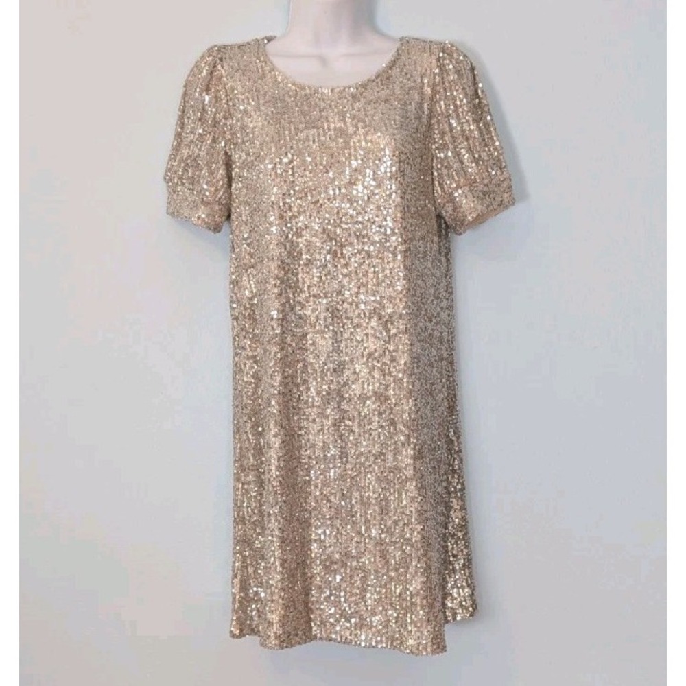 Cable & Gauge Silver Sequin Dress Short Sleeve Shift Women's Small 33.5" Long